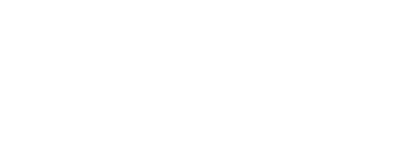 IronLock: Soluciones de Seguridad Avanzadas para Sectores Críticos